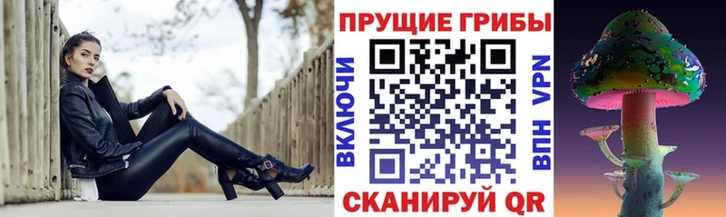 Псилоцибиновые грибы прущие грибы  Астрахань 