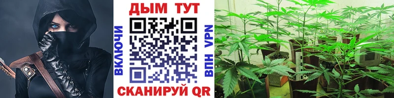 Канабис конопля  наркошоп  Астрахань 